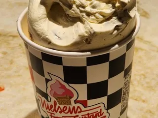 Nielsen’s Frozen Custard