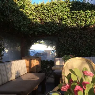Cute patio out back!