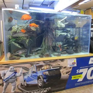 A relaxing view for our customers