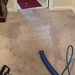 My rug before they did a test on it to see if it will get the stains out.