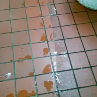 kitchen tile in my restaurant after cleaning