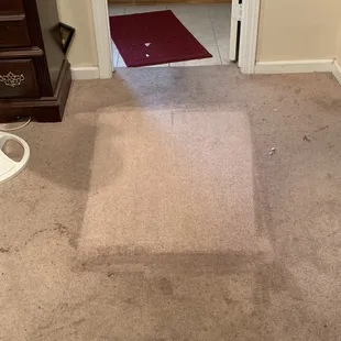 After the test on my rug we decided to clean the whole rug. We could not believe how clean our rug would get. Fantastic job!!