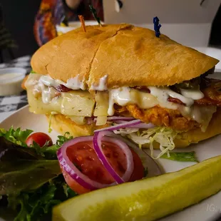 a chicken sandwich and a pickle on a plate