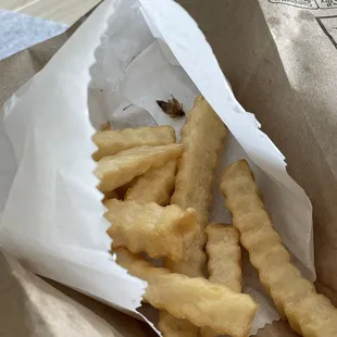 Cockroach in Fries