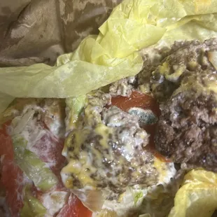 DISGUSTING POTENTIALLY DEADLY MOLD