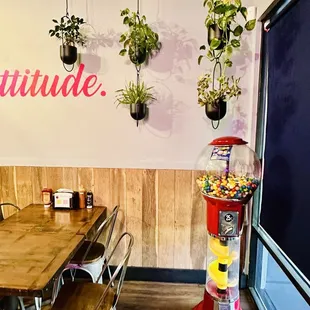 I Love the decorations and the plants make me happy. Super cute and modern look to the restaurant.
