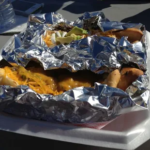 Philly dog and the Mexican dog