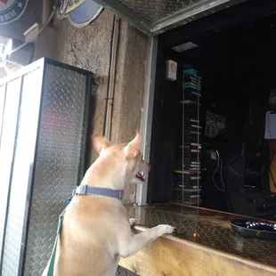 Mordecai wanted to order for me