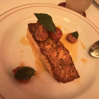 Scottish Salmon