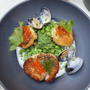 Scallops