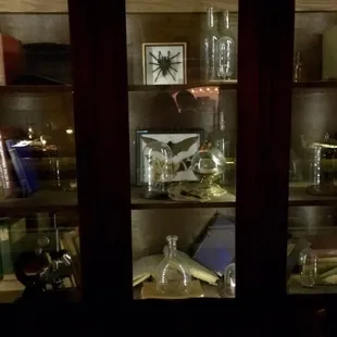 Wall decor in the main room w/DJ... The spider looks real...