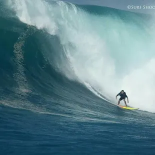 If Eddy would go so will Di's!!!