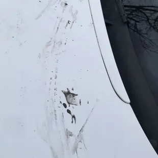 Dirt on hood