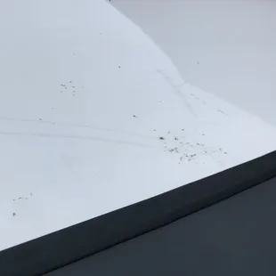 Dirt on roof