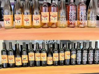 Stray Leaves Vineyard