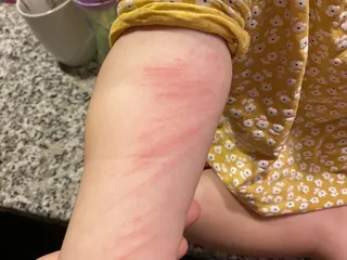 Bluebird Montessori Preschool and Daycare Inc.