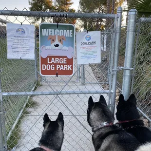 Grande dog park
