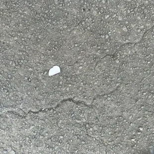 Gel coat pieces on the ground from the damage obtained