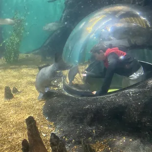 Water bubble