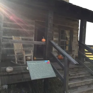 Sleeping Beauty&apos;s Cabin