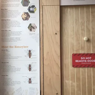 Info on the honey bees