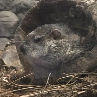 He&apos;s awake and cute
