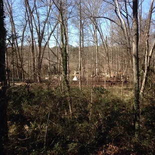 View of the park from the far side of the trail.