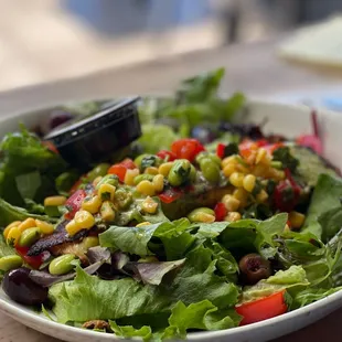 Salmon salad Large Salad, No sides included