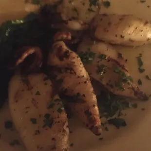 Grilled Calamari