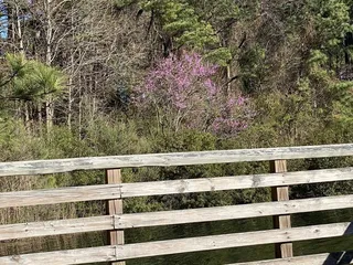 Hoffler Creek Wildlife Foundation