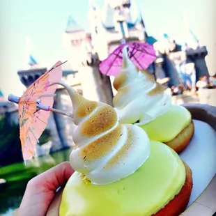 a person holding a plate of desserts