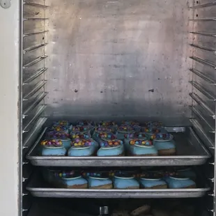 Fresh donuts our out there.