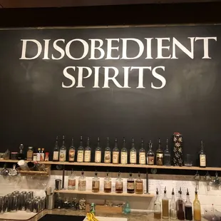 Disobedient Spirits