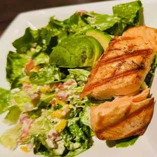 Chili Lime Salad with added Salmon