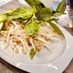 bean sprouts and basil (note the gray spots)