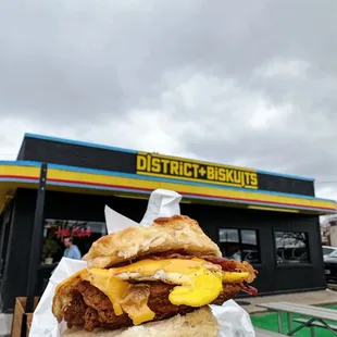 a person holding a sandwich