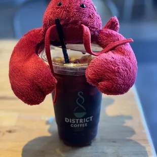 Cold brew with a side of Bobster!