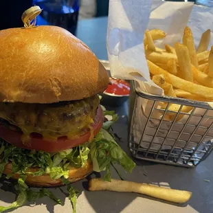 Bison Burger