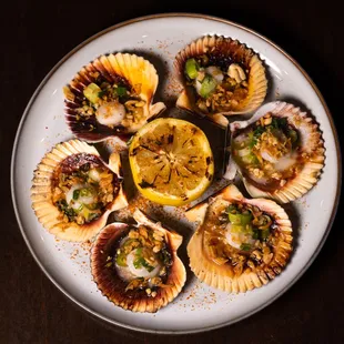 Grilled Scallops