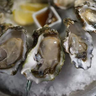 oysters, oysters and mussels, shellfish, food, mussels