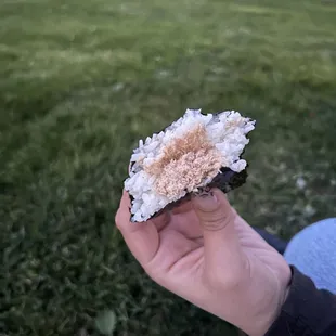 Tuna Onigiri