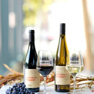 Enjoy a glass of red, white, or rosé at our Washington DC wine bar with waterfront views