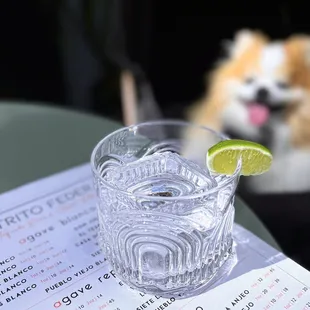 Casa Dragones Blanco, on the rocks | 2 oz-$18 (five outdoor tables on the patio)