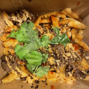 Bulgogi Fries