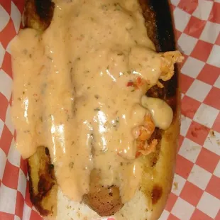 Surf and turf. Alligator dog, covered in crawfish ettouffe.