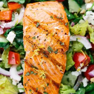 grilled salmon on a bed of salad