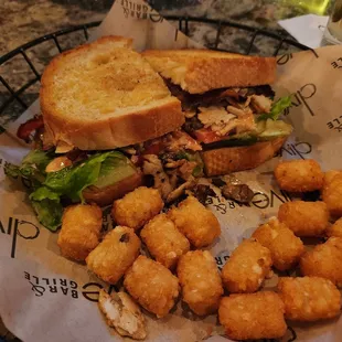 Turkey gouda melt