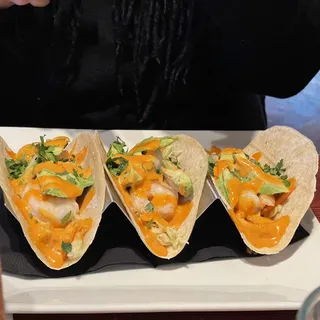 Shrimp Taco