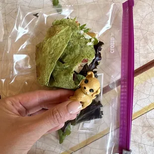 Plastic Dog toy found in my dive wrap