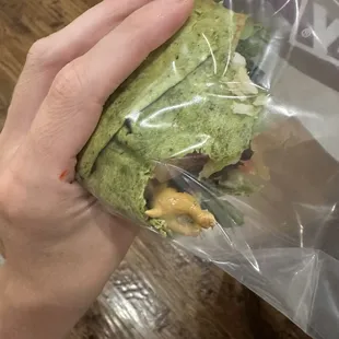 Plastic dog toy found in my wrap